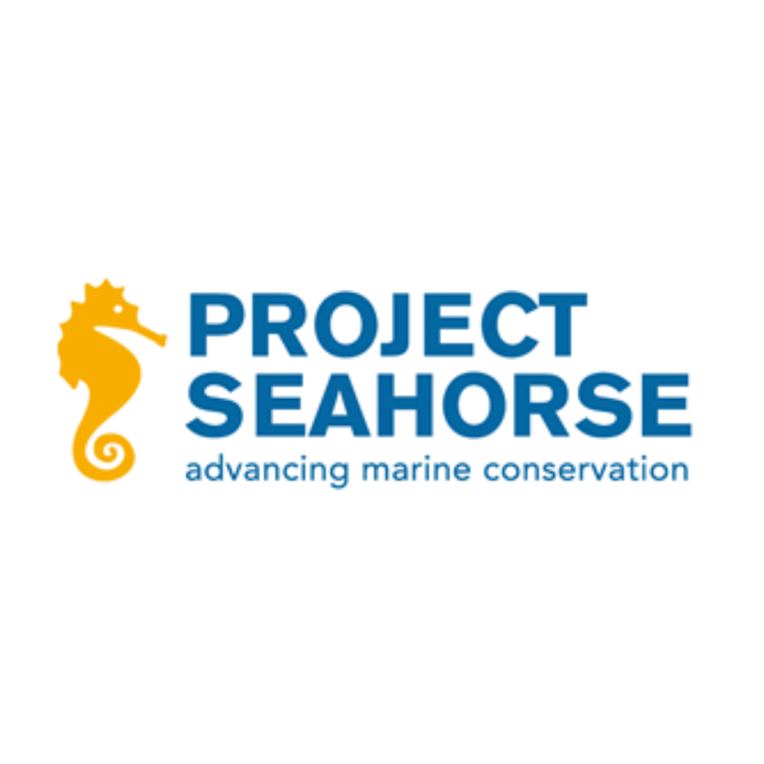 logo seahorse project principauté le brusc