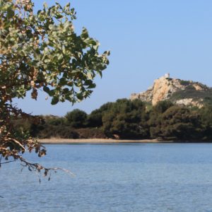 RIP paul ricard PRINCIPAUTÉ LE BRUSC